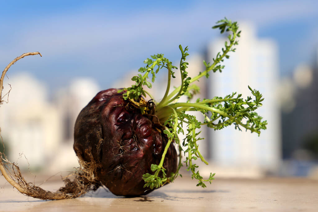 Les bienfaits du supplément de maca sur la santé sexuelle