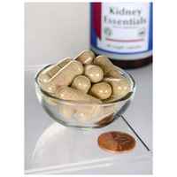 Thumbnail for Kidney Essentials 60 Veggie Capsules