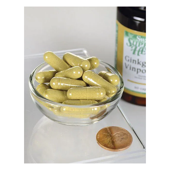 Ginkgo with Vinpocetine 60 Capsules