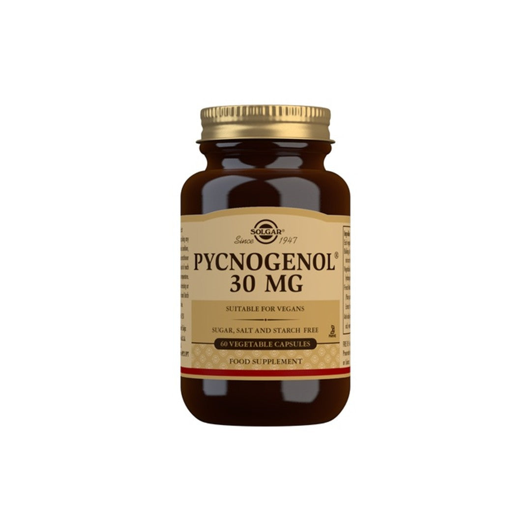 Une bouteille de Solgar Pycnogenol 30 mg 60 gélules végétales sur fond blanc, favorisant la santé cérébrale.