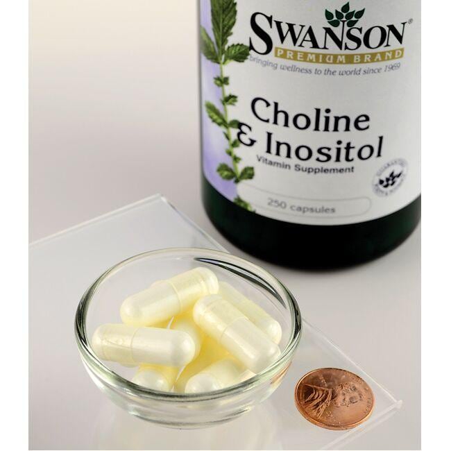 Swanson Choline - 250 mg & Inositol - 250 mg gélules.