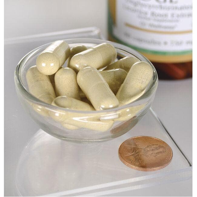 DGL Deglycyrrhizinated Licorice - 750 mg 90 capsules by Swanson dans un bol à côté d'un penny.