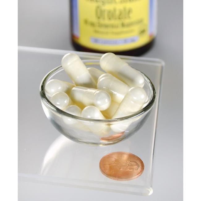 Orotate de magnésium - 40 mg 60 gélules de Swanson dans un bol en verre à côté d'un penny.