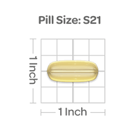 La vignette de l'extrait de palmier nain 1000 mg 90 gélules, spécifiquement formulé pour la fonction urinaire et la santé de la prostate, est représentée sur un fond noir. Nom de la marque : Puritan's Pride